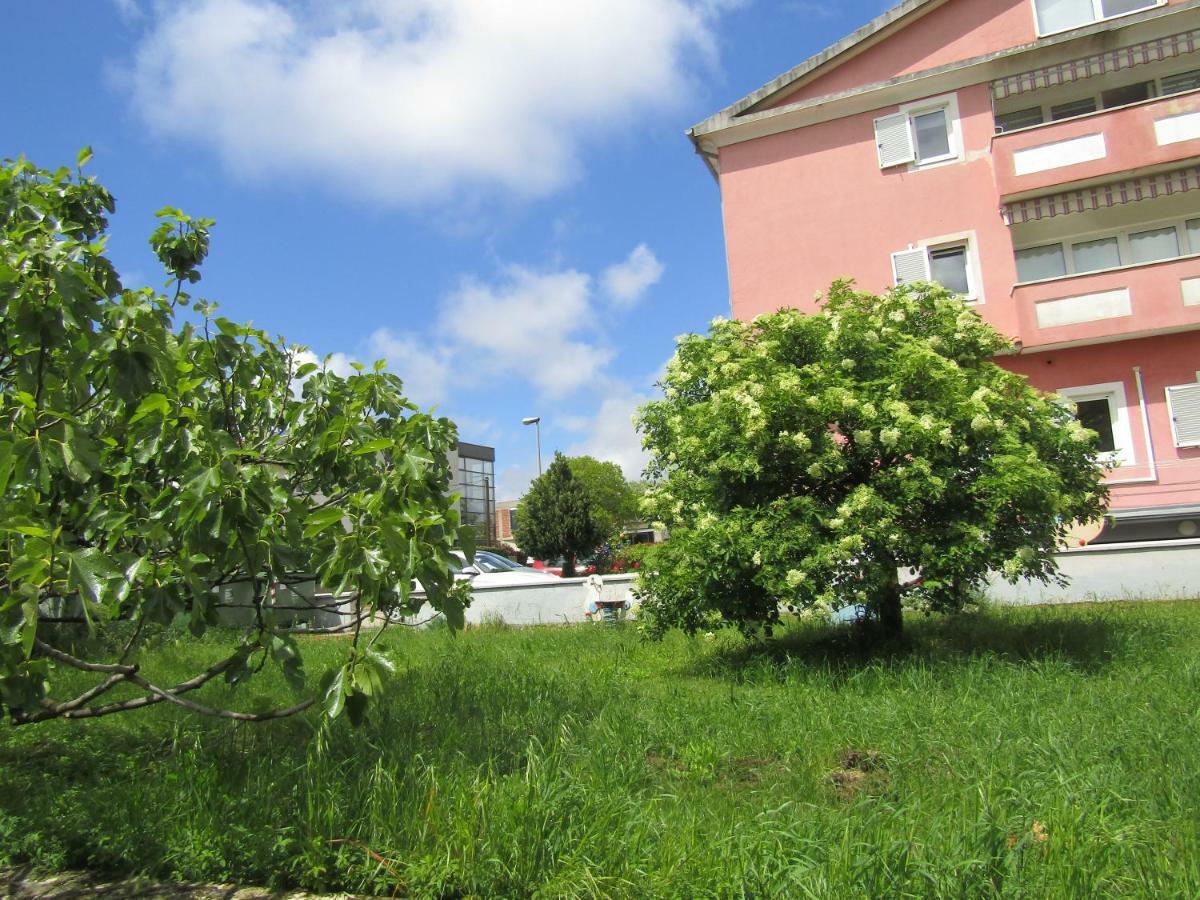 Green Garden Apartments Rovigno Esterno foto